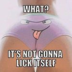 lick.jpeg