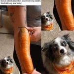 1737121781097.jpeg