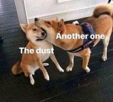 1737202889876.jpeg
