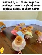 FB_IMG_1737481227395.jpg