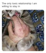 1737514715871.jpeg