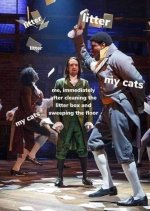 1737932908921.jpeg