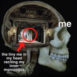 1738014336316.jpeg