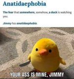 FB_IMG_1738173311079.jpg