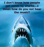 FB_IMG_1738298526788.jpg