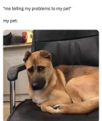 1738549629165.jpeg