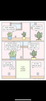 1000120287.png