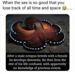 FB_IMG_1738728733837.jpg