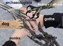 1739127750074.jpeg