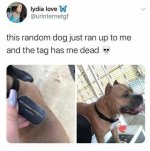 1514c778d46140cefa4538d66b25d3a9.jpg