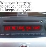 1740031720325.jpeg