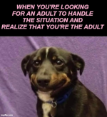 1740072782255.png