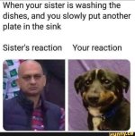 1740107506171.jpeg