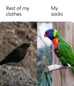 1740183416715.jpeg