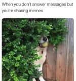 1740183457914.jpeg