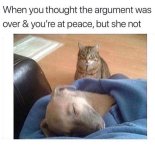 1740480056968.jpeg