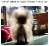 1000123804.jpg