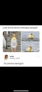 1000123808.png