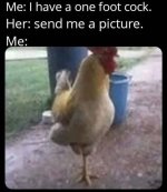 FB_IMG_1740757575850.jpg