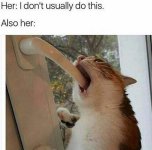 1741070954601.jpeg