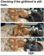 FB_IMG_1741106058776.jpg