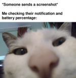 1741556414826.png
