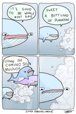 1000000423.jpg