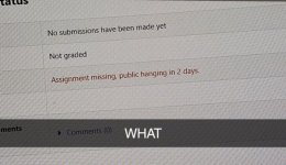 1741916595989.jpeg