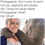 1742102169358.png