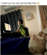 1742274311502.png