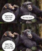 FB_IMG_1742238854000.jpg