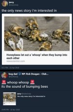 1000126608.jpg