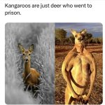 FB_IMG_1742391377110.jpg