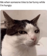 1743654041395.png