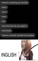 IMG_4895.jpeg