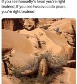 FB_IMG_1743933418612.jpg
