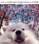 1744499092338.png