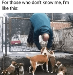 1744936490796.png