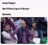1745031101278.jpeg