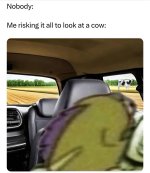 1745798827540.jpeg
