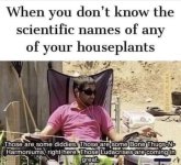 1747669676734.jpeg