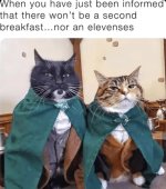 IMG_8790.jpeg