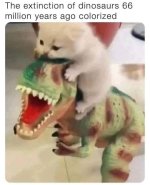 1751364761677.jpeg