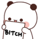 IMG_3004.png