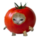 IMG_3001.png
