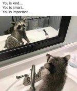 1751427827611.jpeg