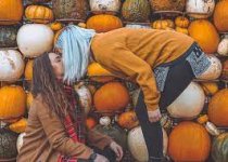 pumpkin.jpg