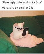 1755336721540.jpeg