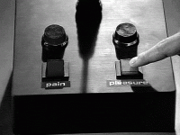 Tumblr_l_16871499586054.gif