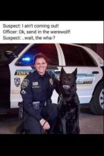 1000050898.jpg